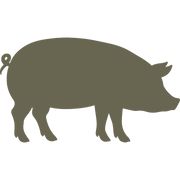 Pig Delrin Leather Stamp