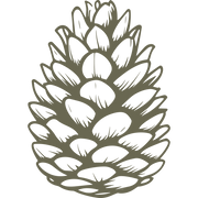 Highly detailed pinecone illustration with intricate shading and texture, showcasing the natural overlapping scales in a realistic, organic design.
