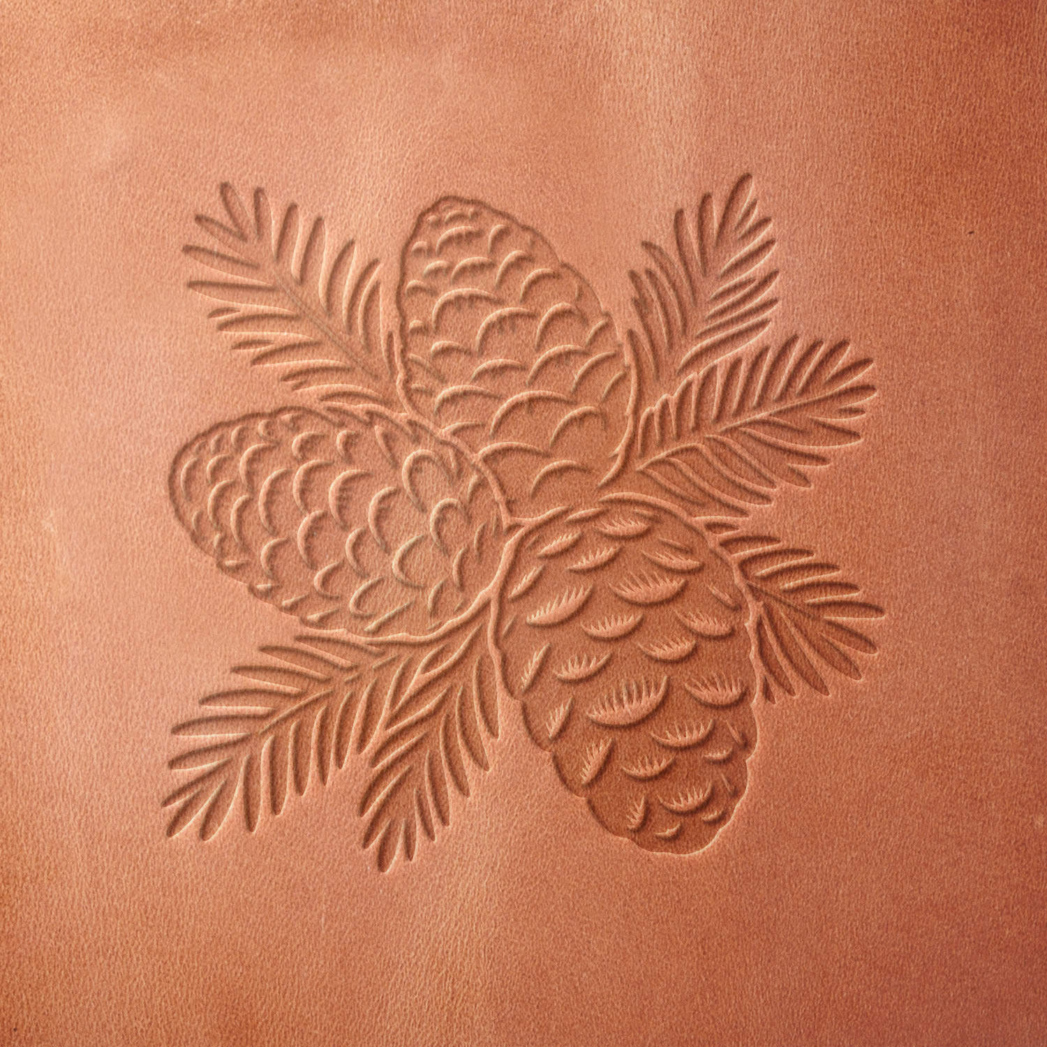 Leather sample featuring a stamped pinecone and pine needle design, created using a Delrin leather stamp for detailed embossing.