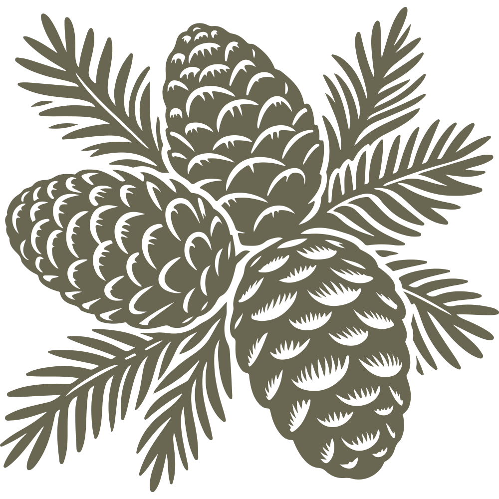 Detailed illustration of three pinecones with pine needles, arranged in a natural, organic cluster, emphasizing texture and intricate linework.