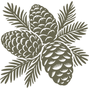 Detailed illustration of three pinecones with pine needles, arranged in a natural, organic cluster, emphasizing texture and intricate linework.