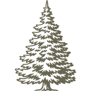 Delrin leather stamp design of a detailed evergreen tree with layered branches—perfect for outdoor, woodland, or holiday-themed leather projects.