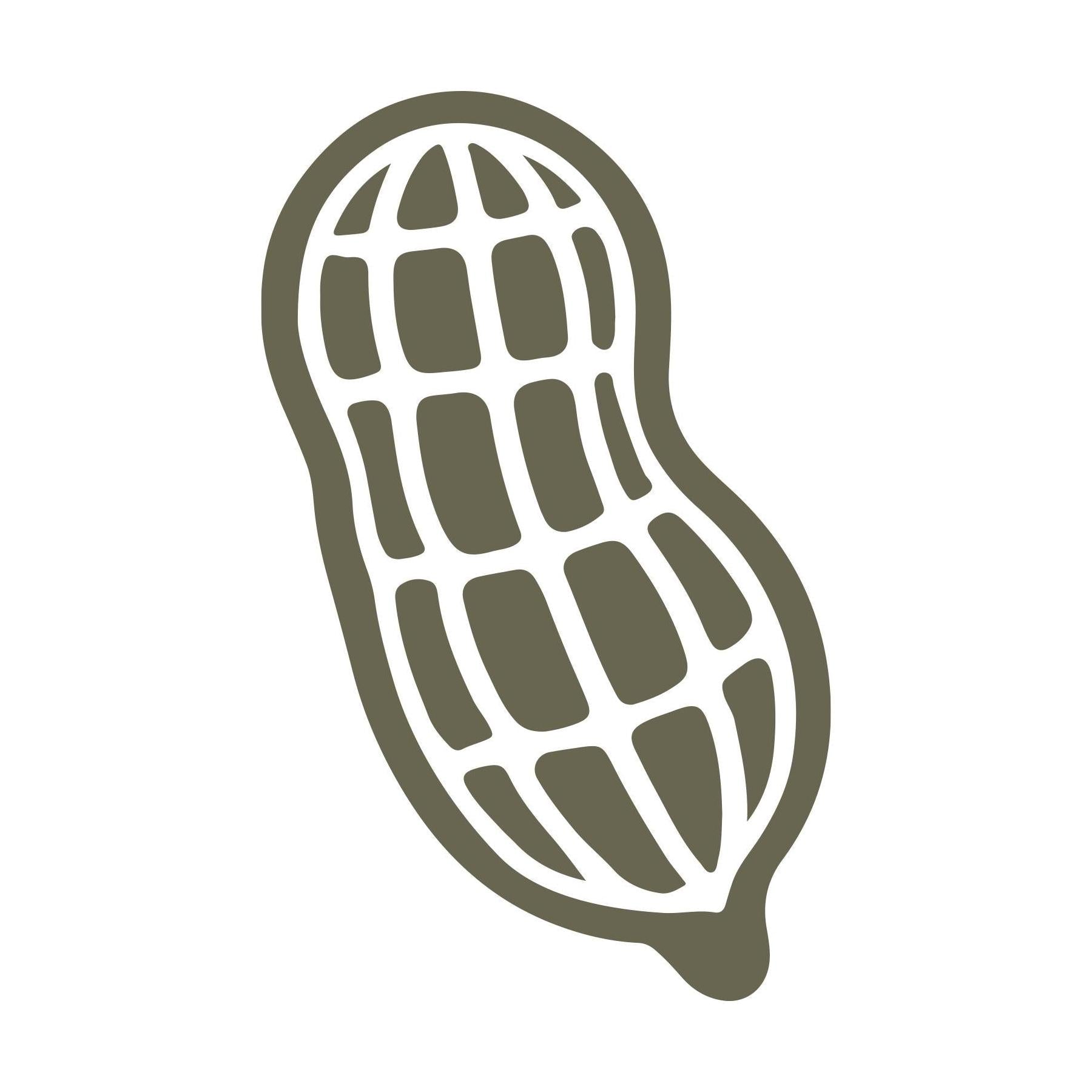 Delrin leather stamp design of a single peanut in its shell with clean, simple linework for leather crafting.