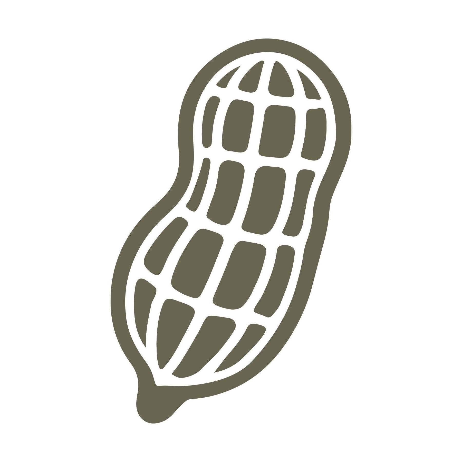 Delrin leather stamp design of a single peanut in its shell with clean, simple linework for leather crafting.