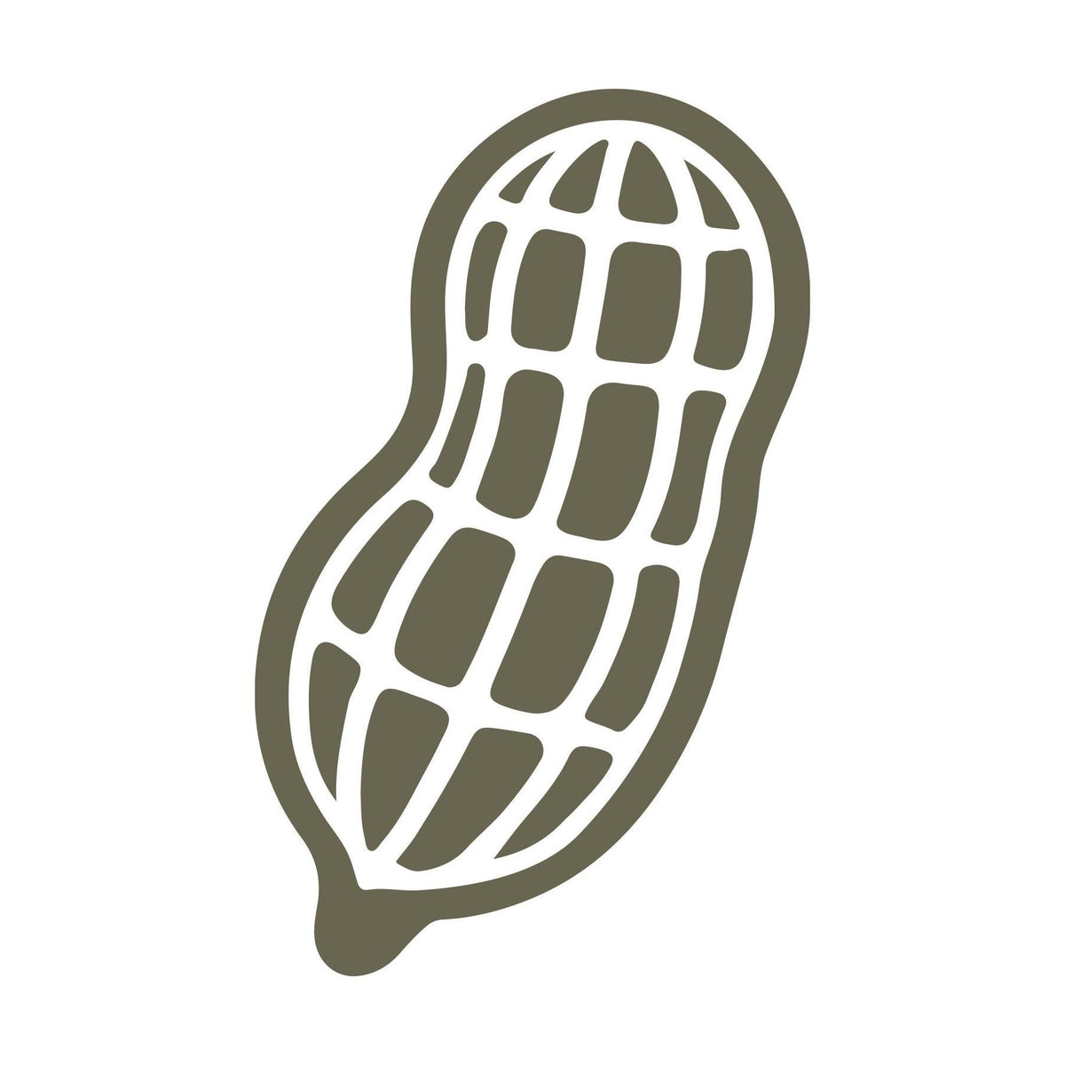 Delrin leather stamp design of a single peanut in its shell with clean, simple linework for leather crafting.