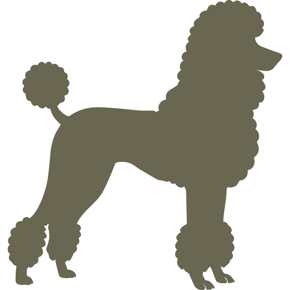 Elegant poodle silhouette with a classic grooming style, featuring a fluffy tail and curly fur details.