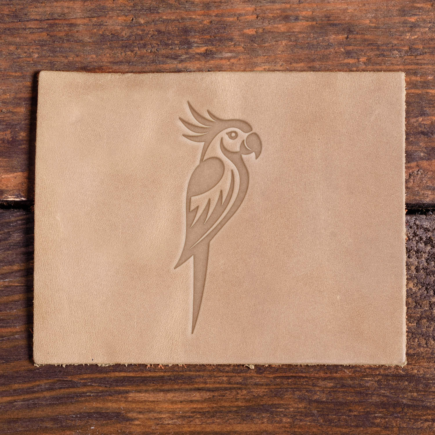 Leather sample showcasing a stamped parrot design using a Delrin leather stamp.