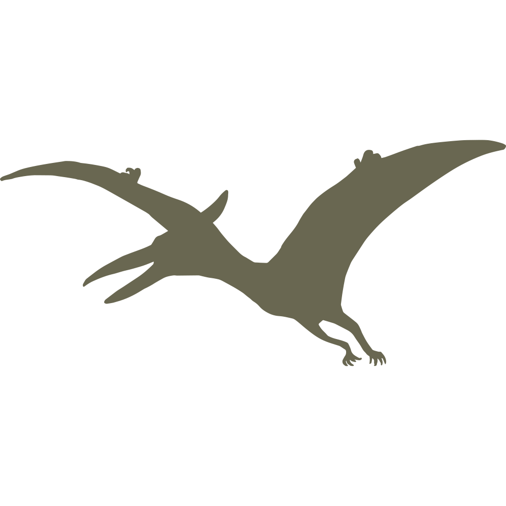 Silhouette illustration of a flying pterodactyl with outstretched wings, designed for use as a Delrin leather stamp.