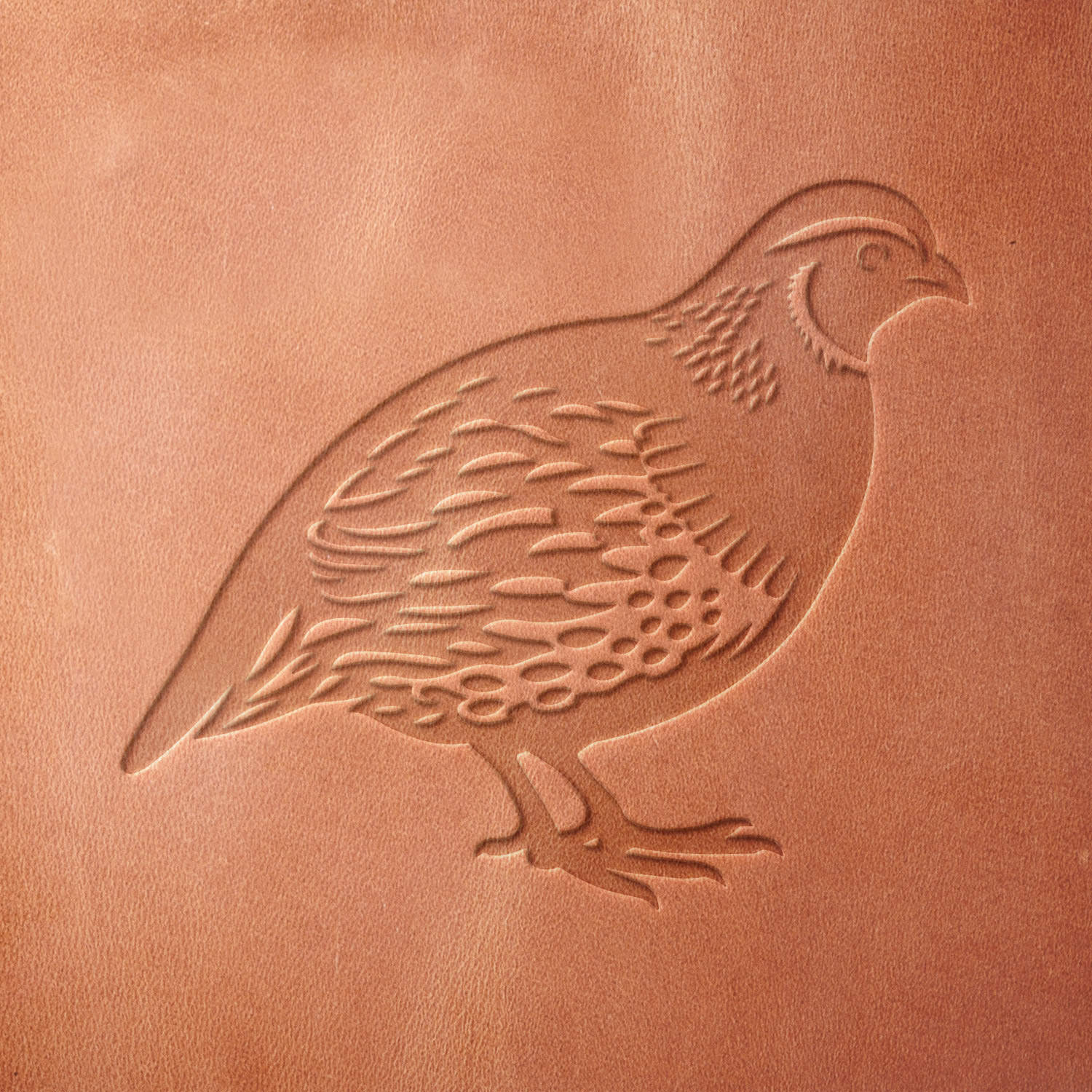 Quail Delrin Leather Stamp