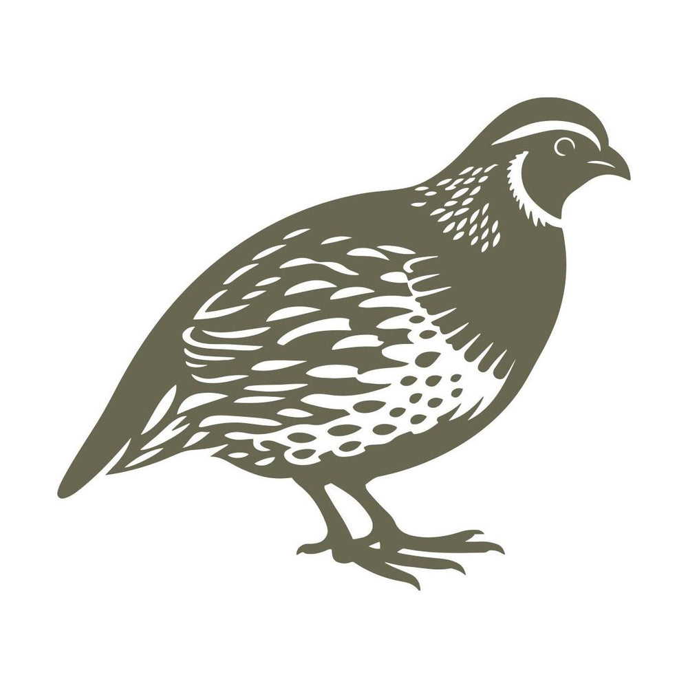 Stylized quail illustration with detailed feather patterns and a distinctive curved head marking. Features a compact, rounded body and short legs, characteristic of ground-dwelling game birds.