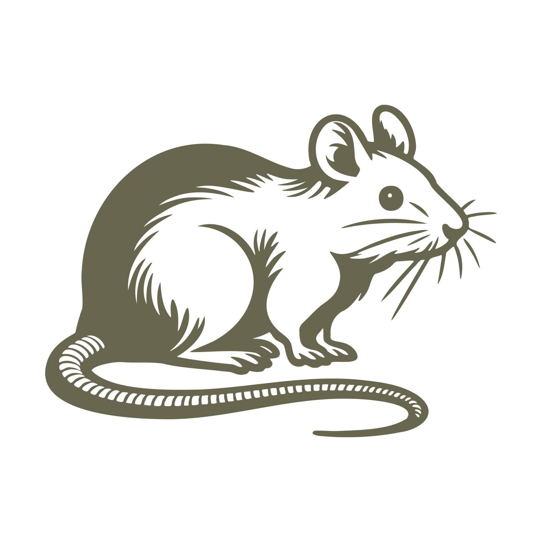 Delrin leather stamp design of a mouse with whiskers and a curled tail.