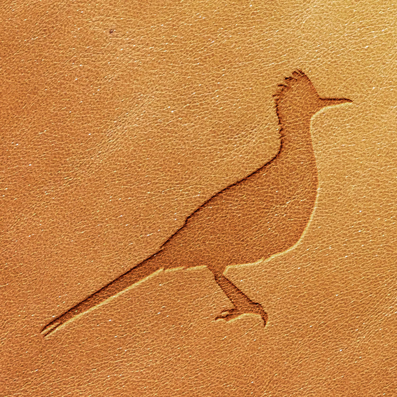 A silhouette of a roadrunner with a crest on its head and a long tail is imprinted on a tan textured surface. The roadrunner appears to be standing on one leg. The image has a monochromatic brown tone, created using the Roadrunner Delrin Leather Stamp.