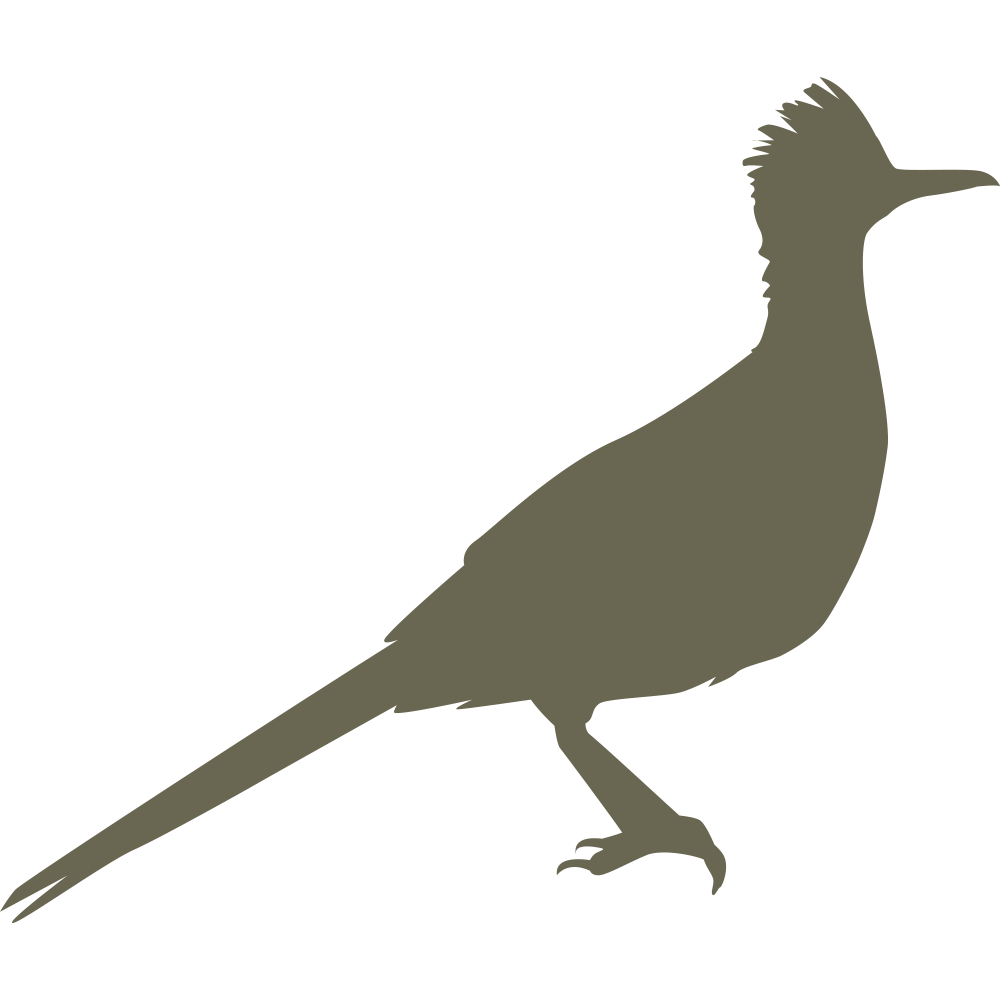 A silhouette of a roadrunner with a long tail and a pointed crest on its head, facing to the right. The bird's posture is upright, standing on one leg with the other leg slightly raised, featured in our Roadrunner Delrin Leather Stamp.