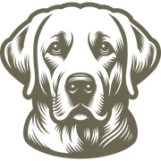 Labrador dog head design featuring subtle shading, expressive eyes, and a gentle, friendly expression.
