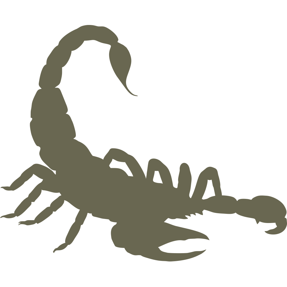 Silhouette of a scorpion with its tail curved upward. The image captures the distinct features of the Scorpion Delrin Leather Stamp, including its pincers and multiple legs. The silhouette is colored in a solid dark grey.