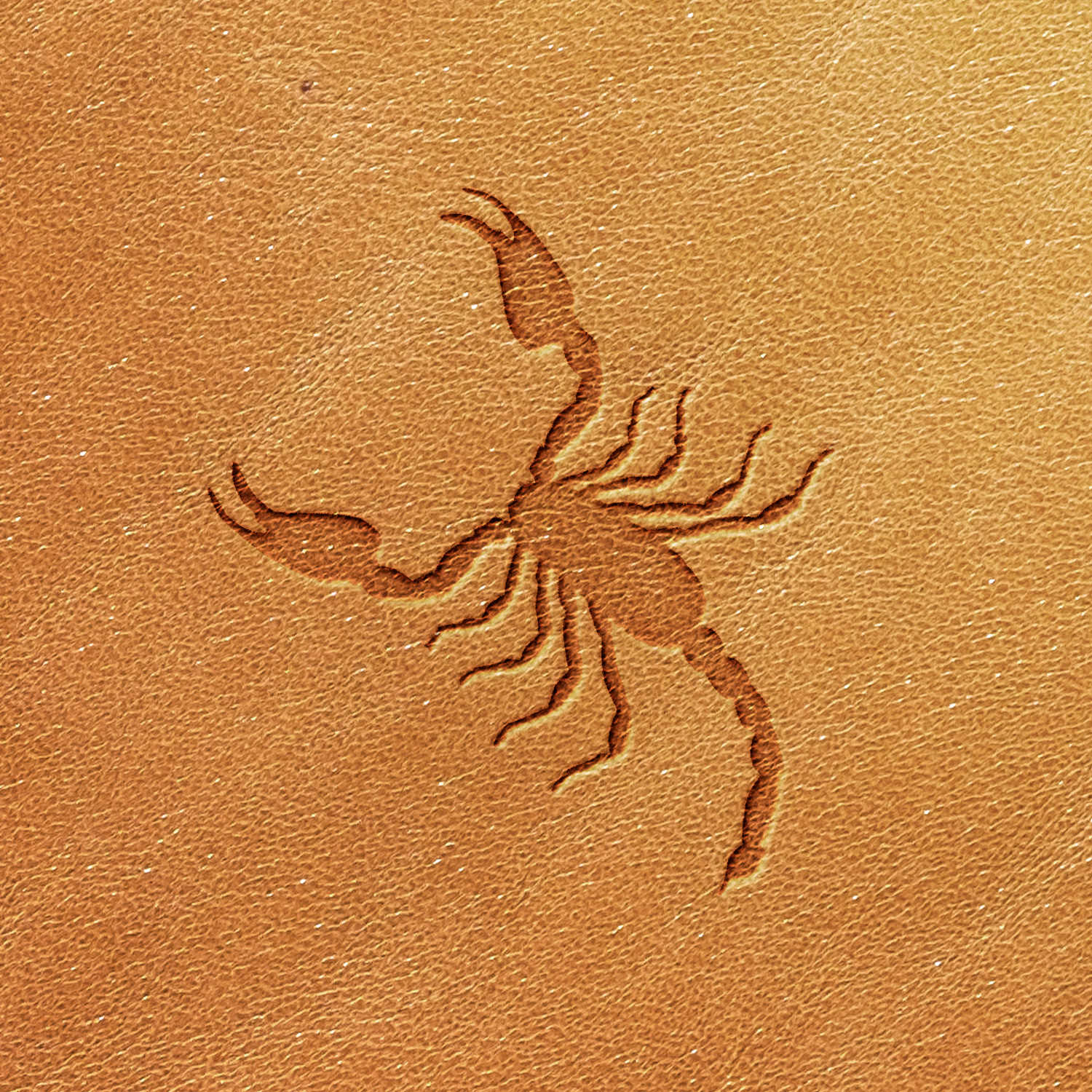 The Scorpion Delrin Leather Stamp features a detailed depiction of a scorpion carved into a reddish-brown textured surface. The scorpion's claws and segmented tail are distinctly visible, creating a striking three-dimensional appearance.