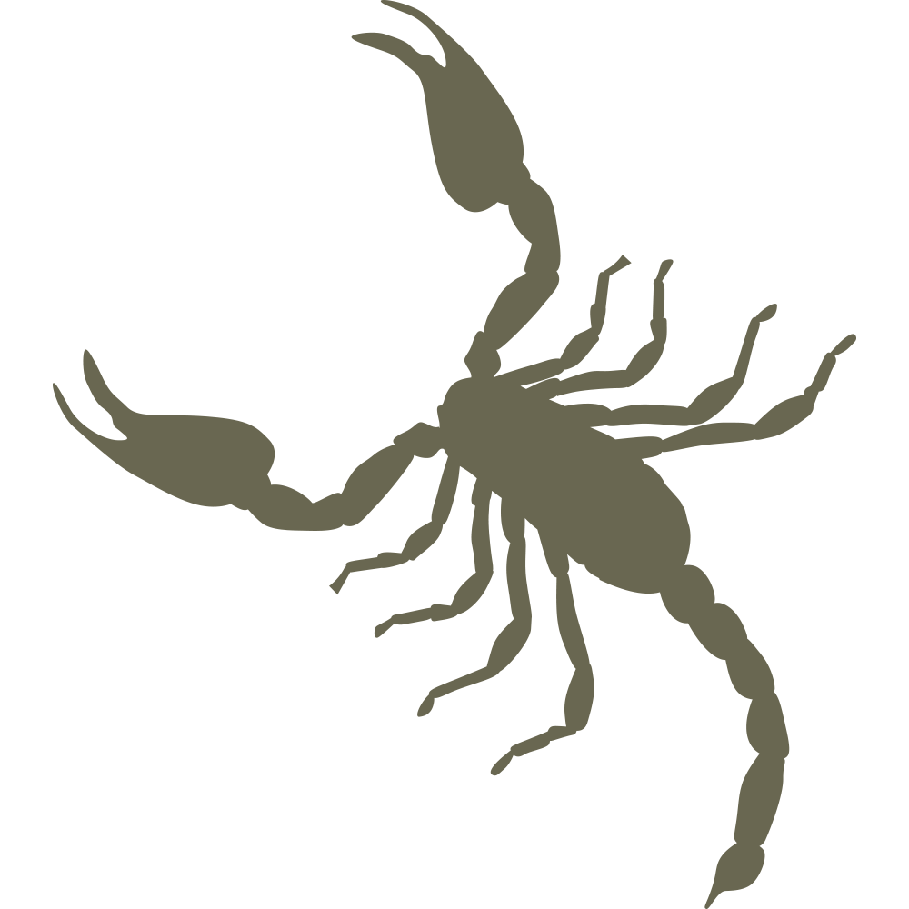 The Scorpion Delrin Leather Stamp features a grayscale silhouette of a scorpion with raised claws and a curved tail. The scorpion, with its segmented body, eight legs, and pincers at the front, is depicted against a plain white background.