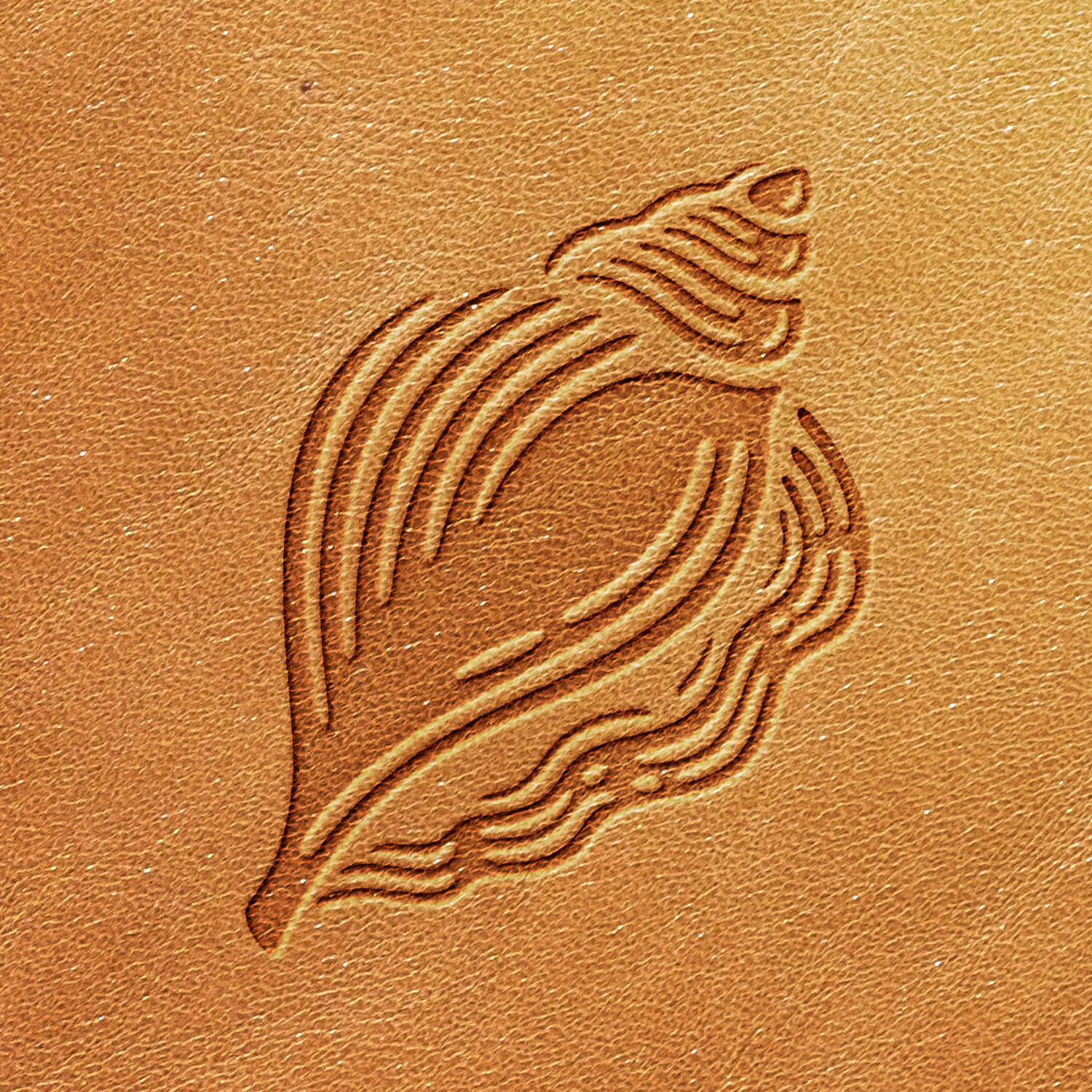 The Seashell Delrin Leather Stamp creates a beautifully embossed conch shell design on a leather surface, with curved lines that elegantly highlight the shape and texture of the shell against the tan background.