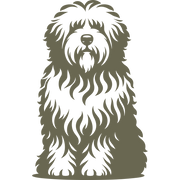 Fluffy dog design featuring a long, wavy coat, round nose, and a relaxed, seated posture.