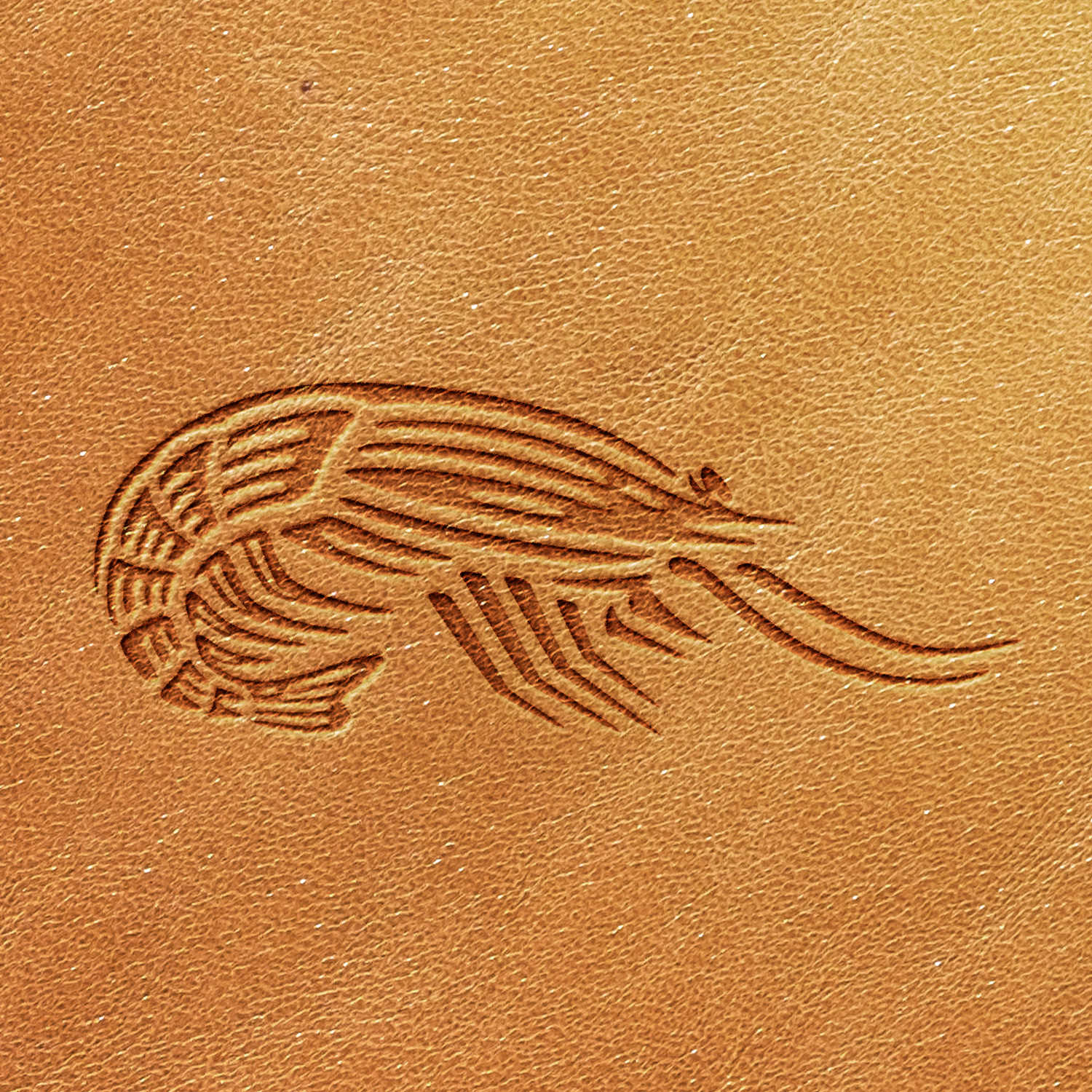 Introducing the Shrimp Delrin Leather Stamp: A tool that creates a leather surface embossed with the simple and stylized outline of a kiwi bird, complete with lines representing its feathers and beak.