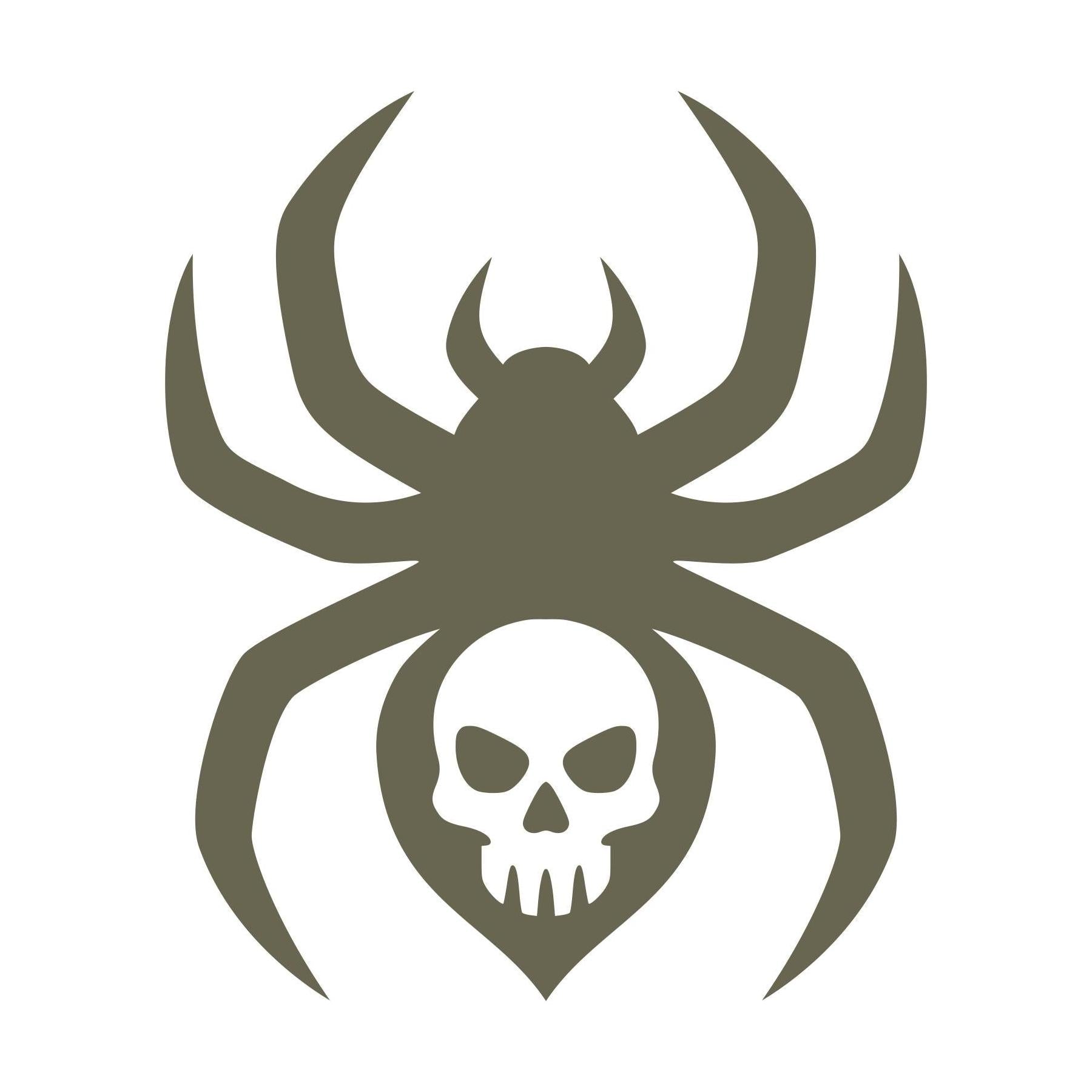 Spider with a skull design in the body, created as artwork for stamping with a Delrin leather stamp.