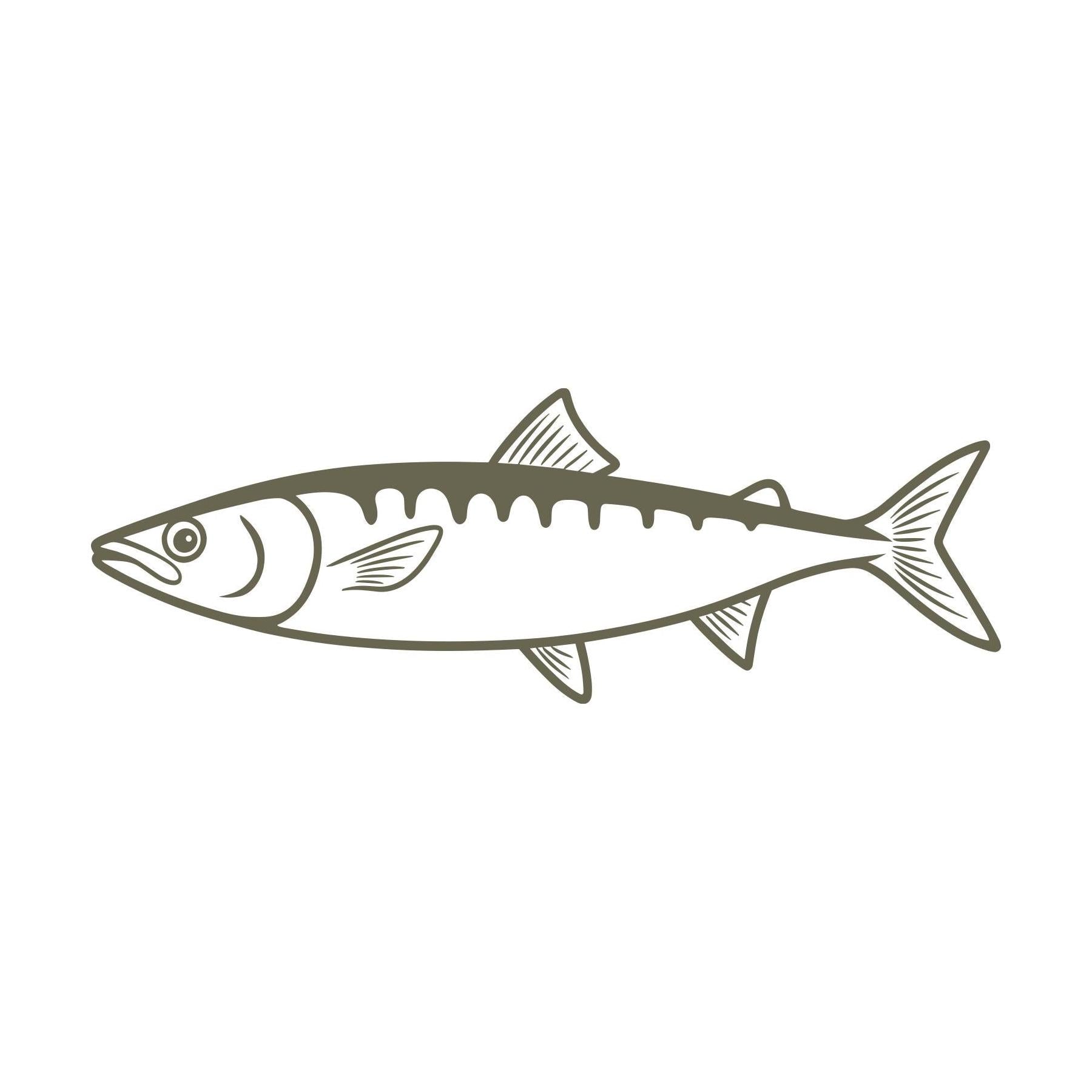 Delrin leather stamp design featuring a detailed sardine fish with sleek fins and scales.