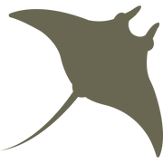 Stinray Delrin Leather Stamp