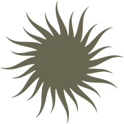 A Sun Delrin Leather Stamp in a solid dark green square, uniformly colored without any visible patterns, textures, or objects.