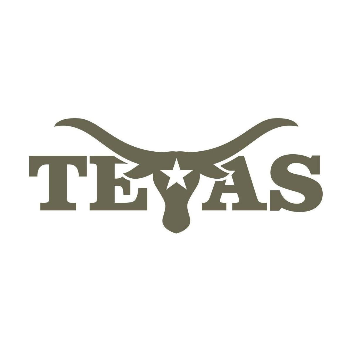 Delrin leather stamp with a Texas longhorn design, incorporating bold typography and a star accent, ideal for Western-themed leathercraft projects.