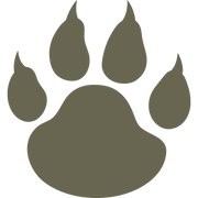 Bear paw print design leather stamp made from Delrin for wildlife and nature-themed leatherworking projects