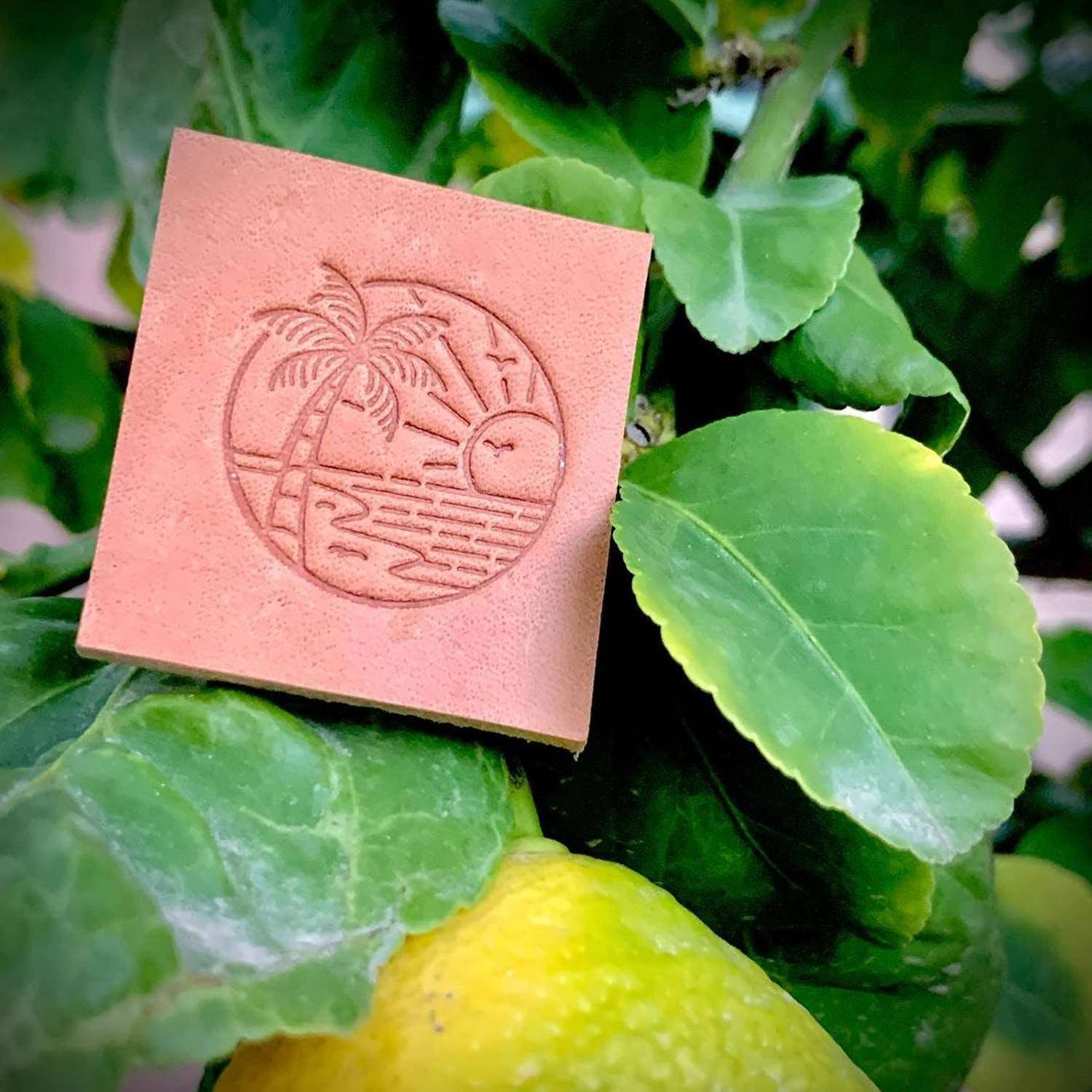 Tropical Scene Delrin Leather Stamp