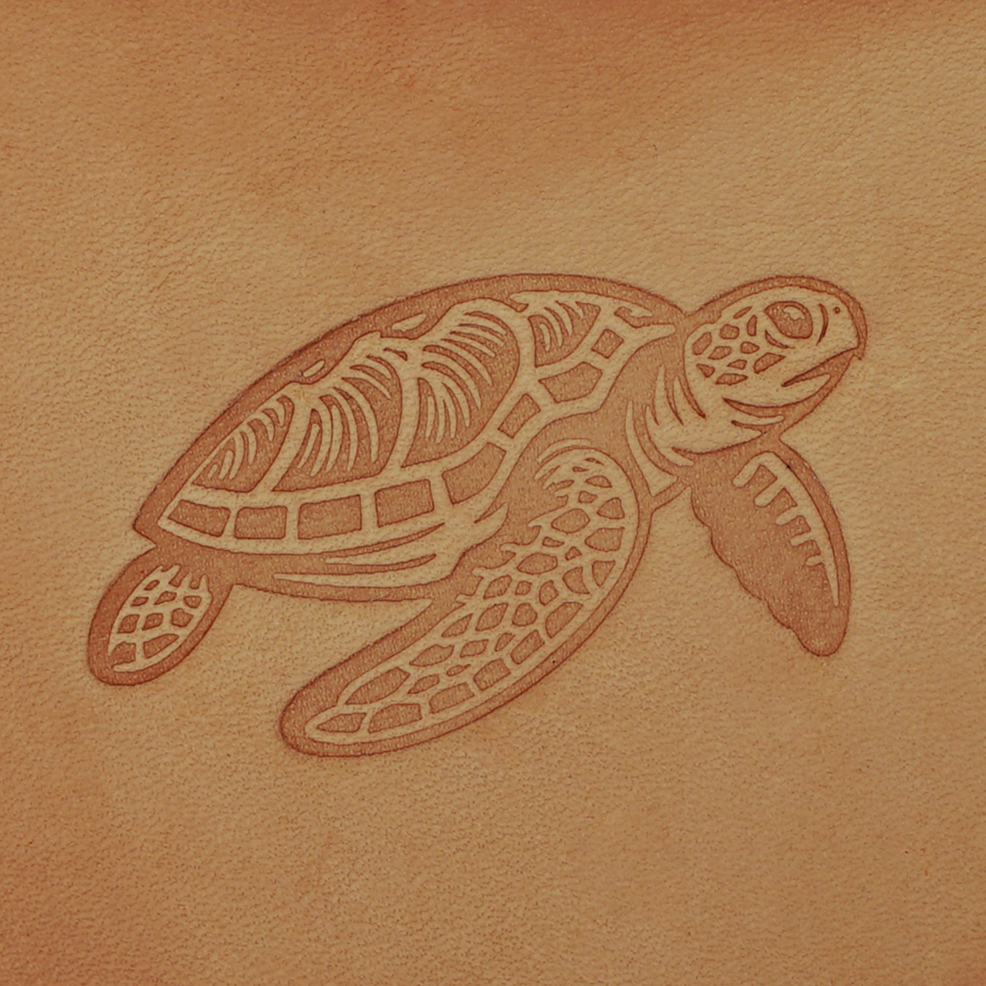 Turtle Delrin Leather Stamp