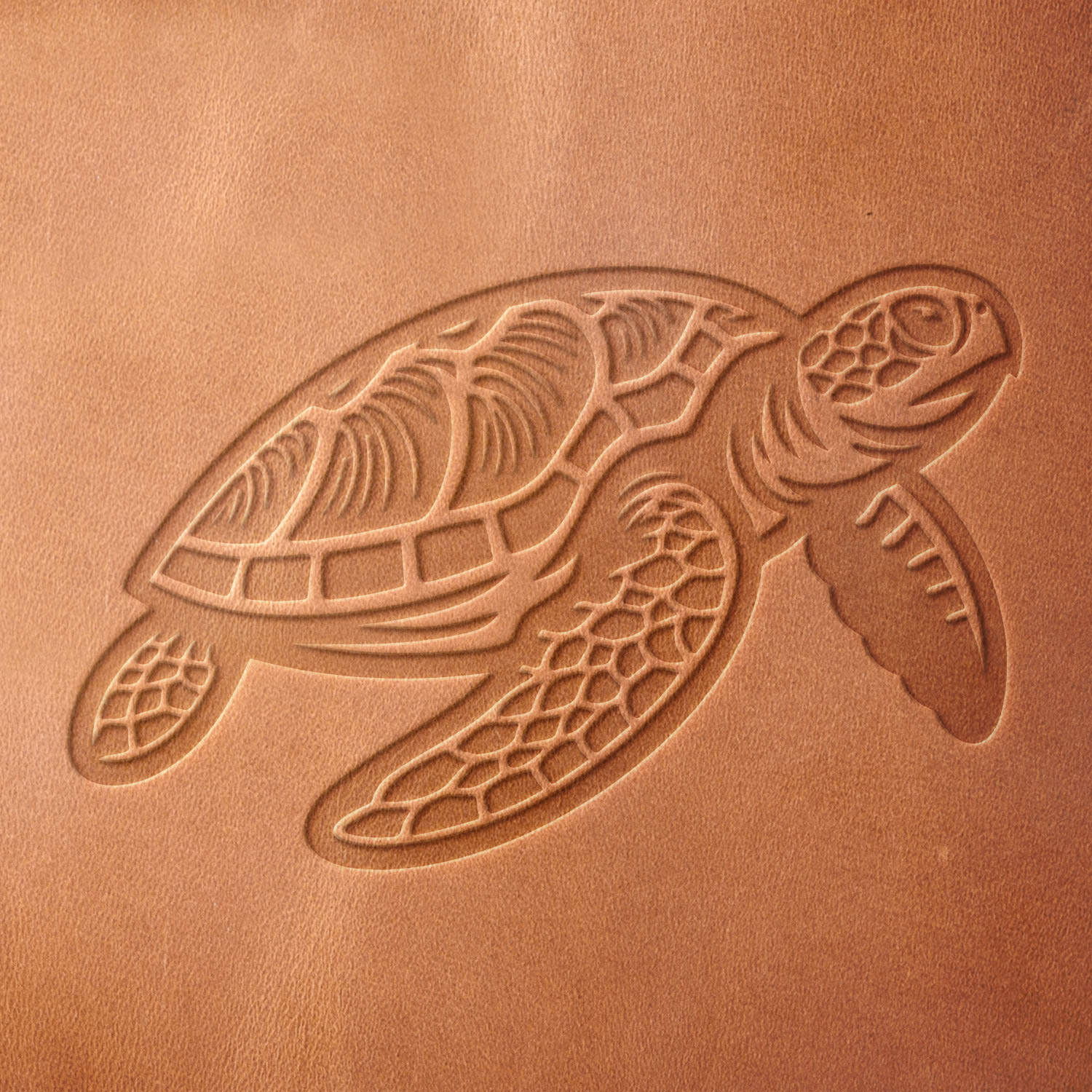 Leather sample with a sea turtle stamp impression, showcasing a detailed shell and flippers for marine-themed designs.