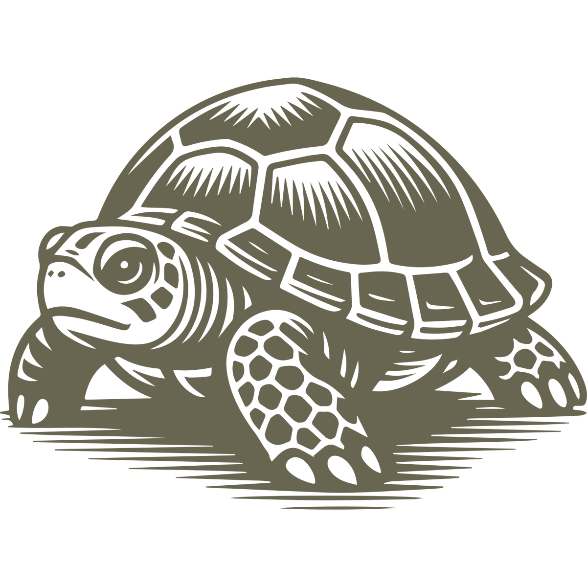 Tortoise Delrin Leather Stamp – All Good Leather Co. - Delrin Leather ...