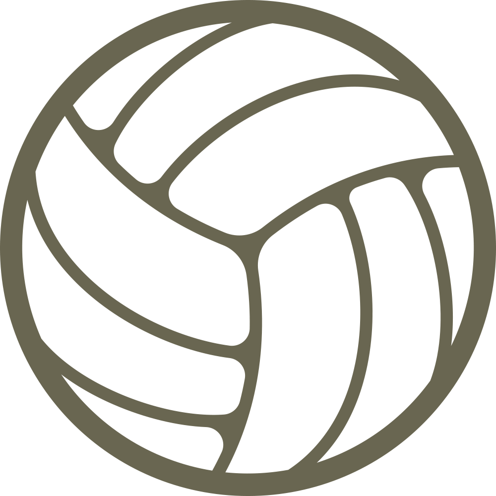 Volleyball Stamp