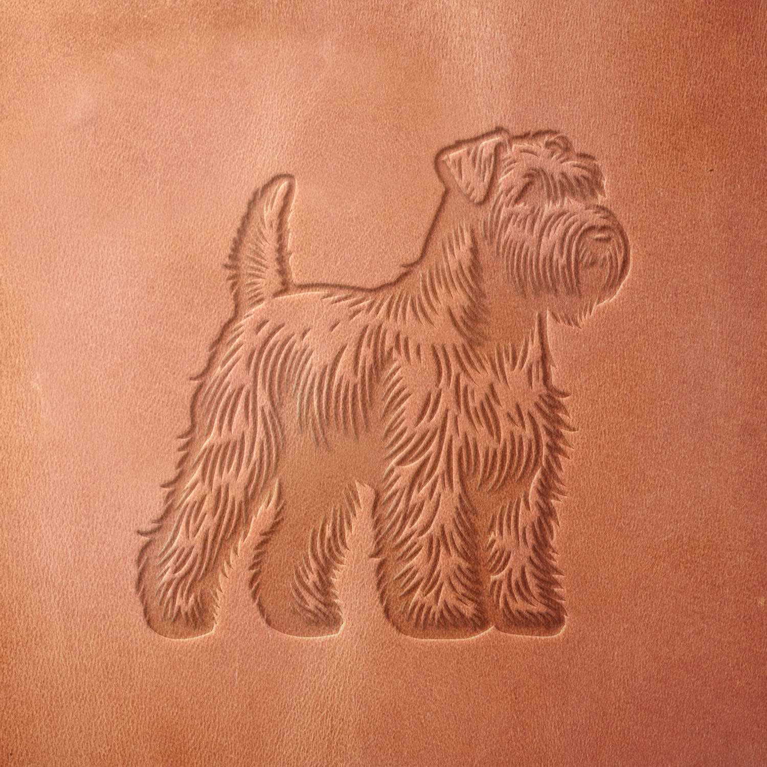 Leather sample featuring a stamped Wheaten Terrier design with intricate fur details, created using a Delrin leather stamp.