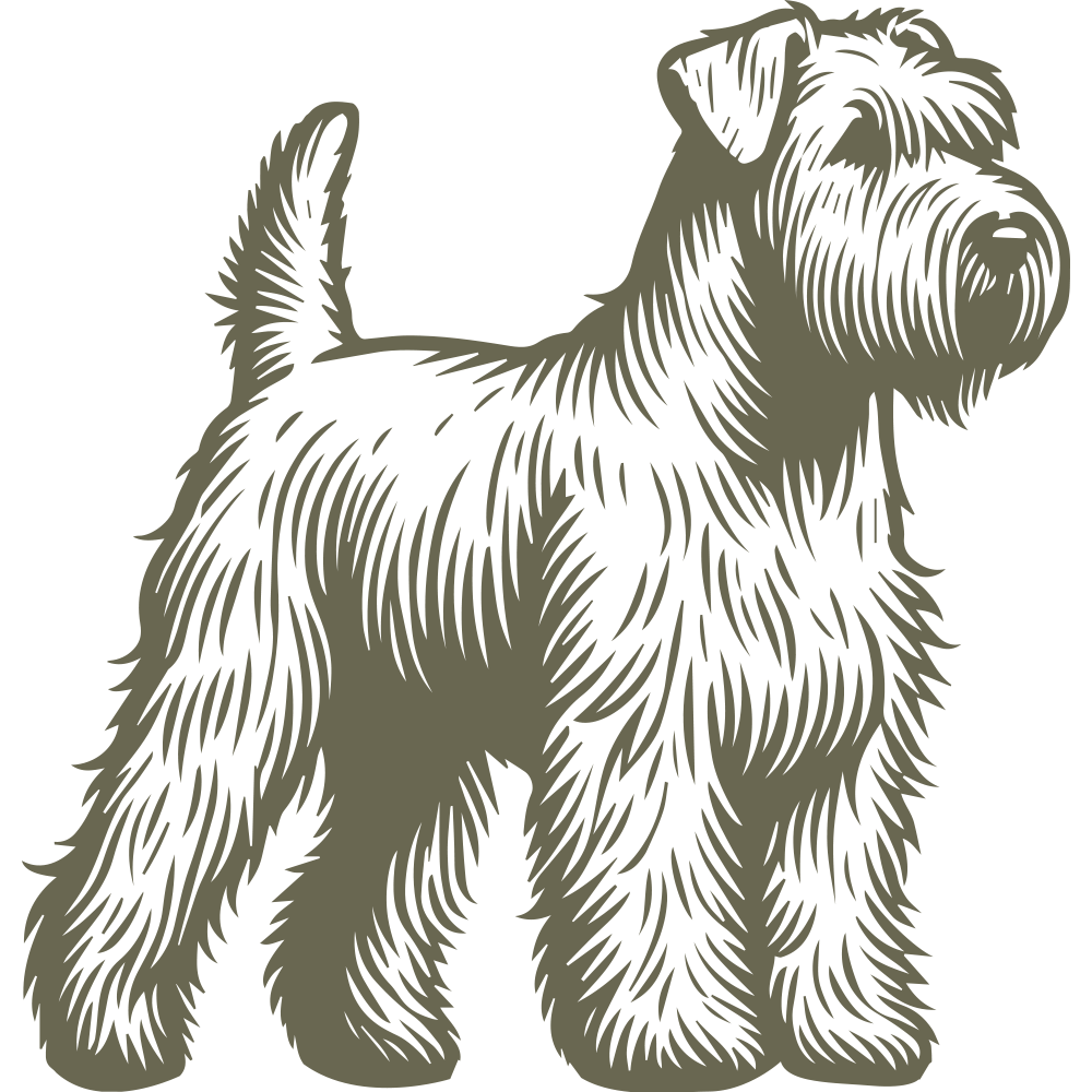 Detailed illustration of a Wheaten Terrier standing proudly, showcasing its distinctive shaggy coat, alert expression, and sturdy stance.