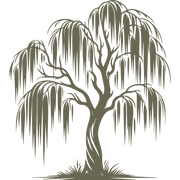 Elegant willow tree design with flowing branches and detailed trunk, symbolizing grace and resilience.