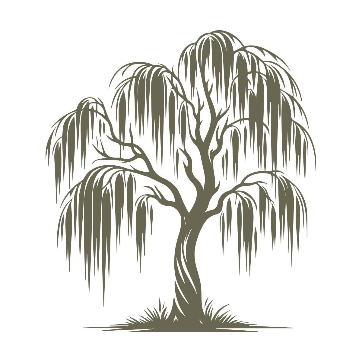 Elegant willow tree design with flowing branches and detailed trunk, symbolizing grace and resilience.