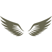 Minimalist wing design featuring two symmetrical, curved wings with layered feathers.