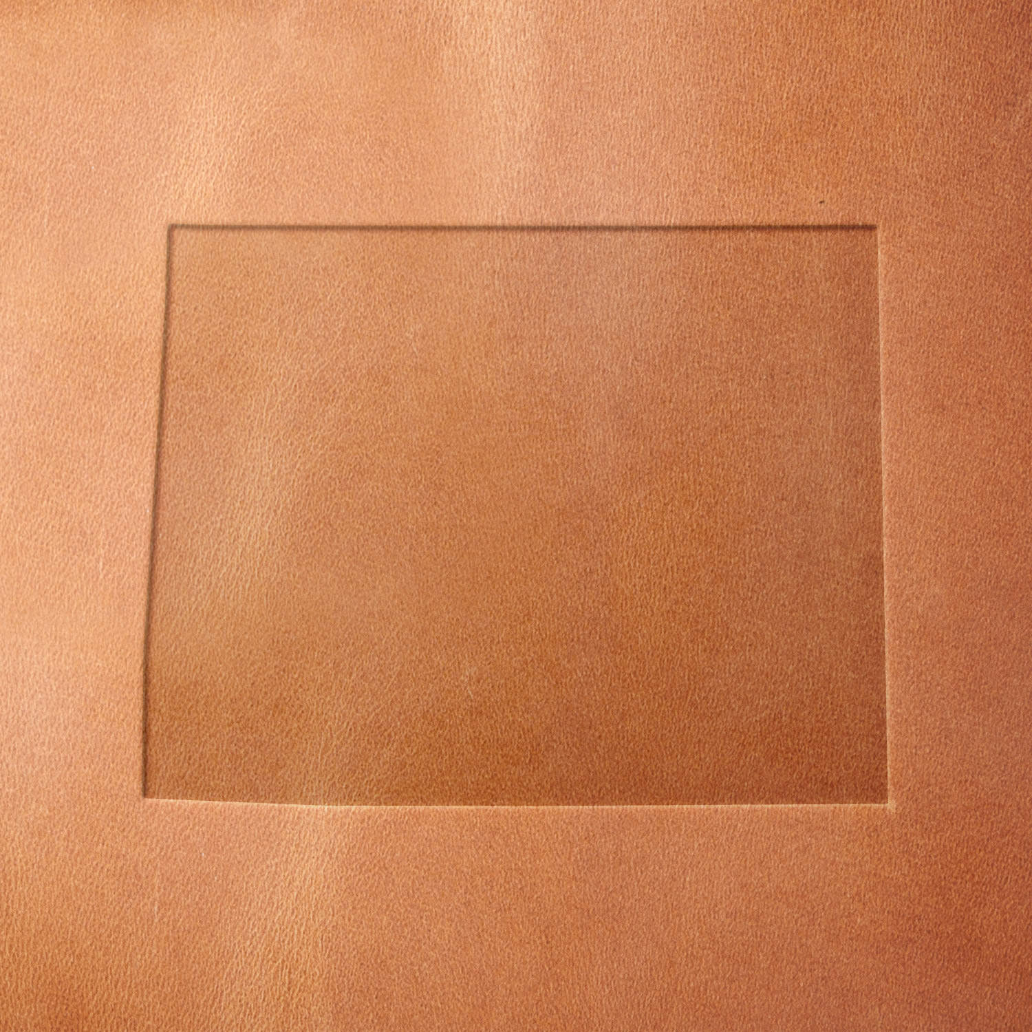 Wyoming State Shape Delrin Leather Stamp