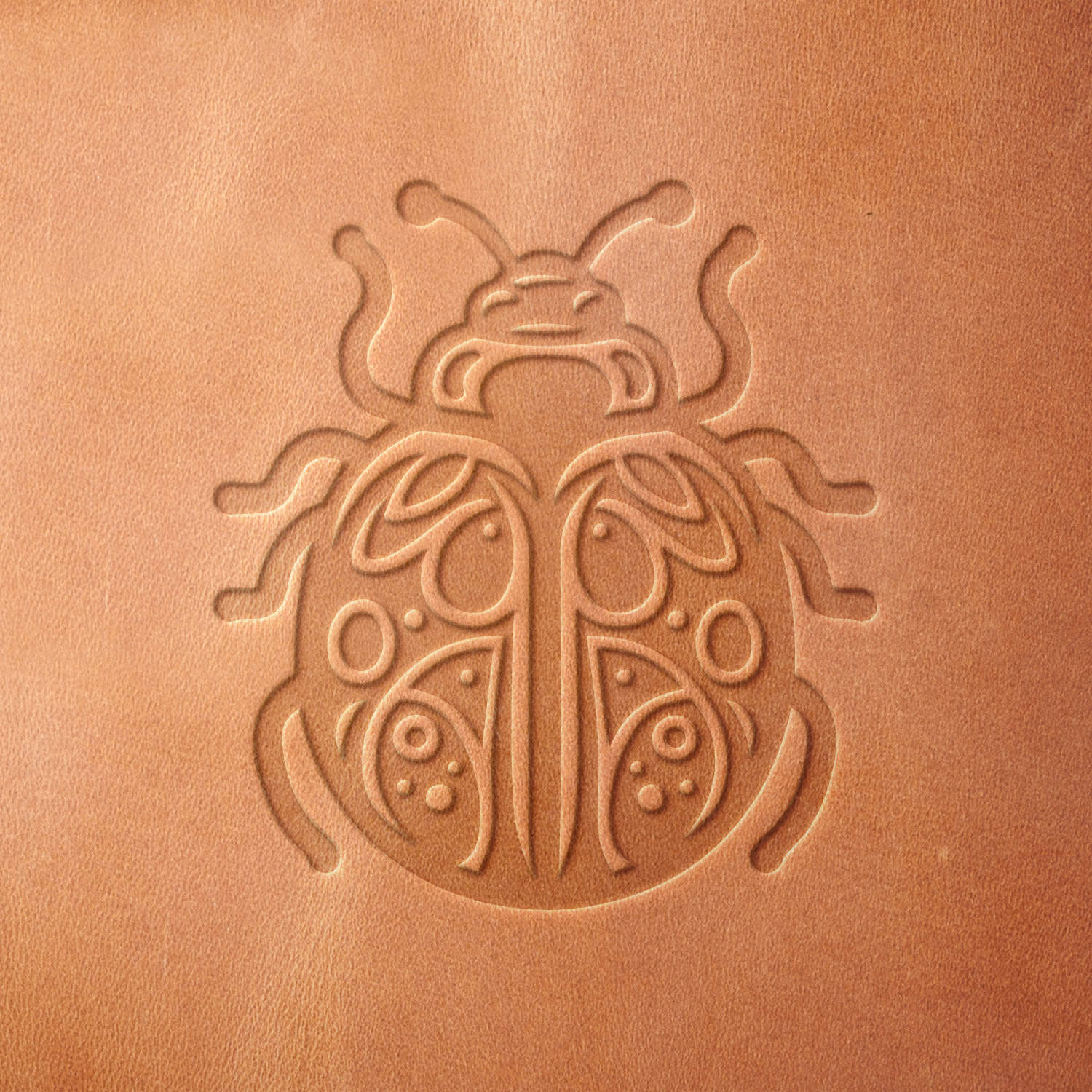 Abstract Beetle Delrin Leather Stamp - All Good Leather Co.