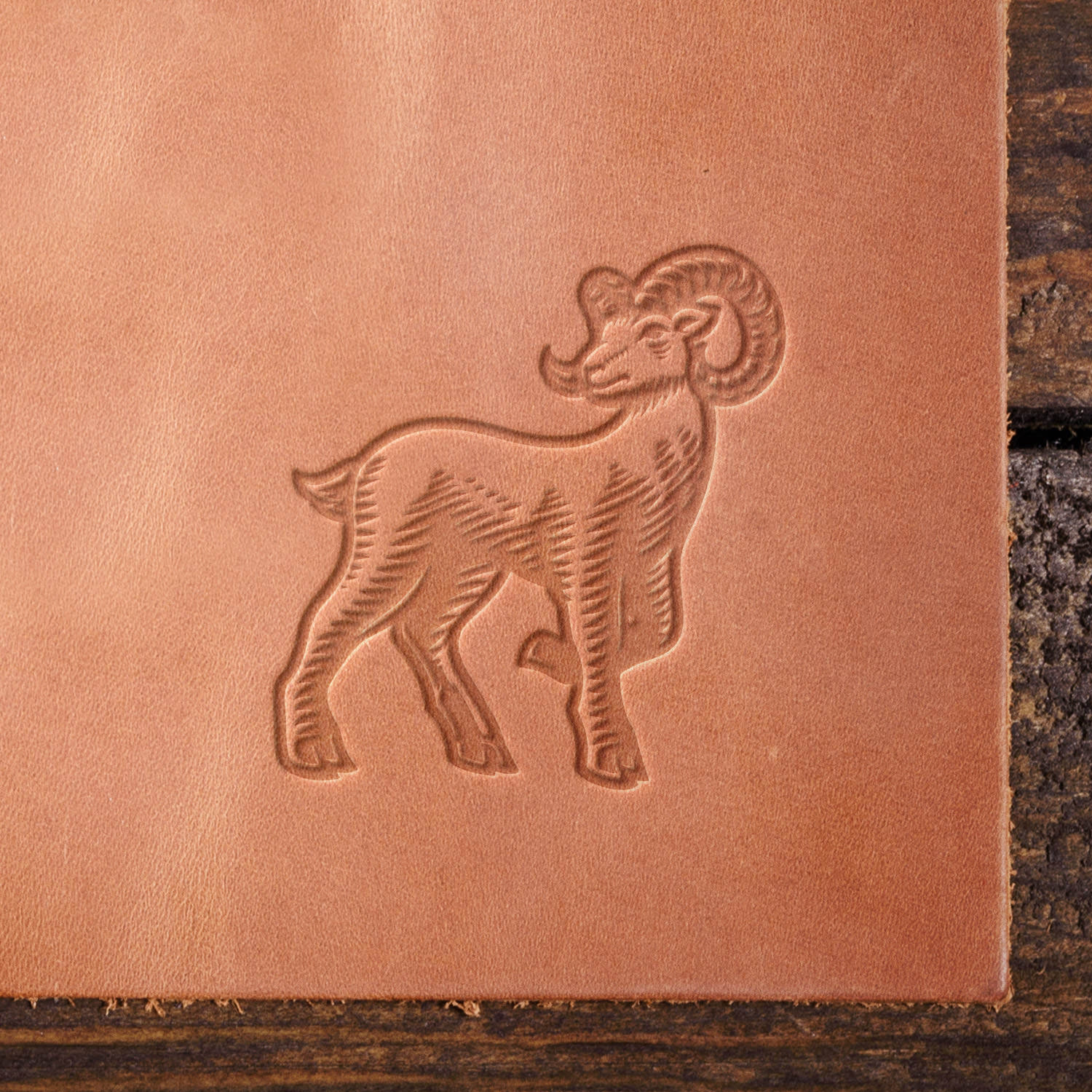 Aries Zodiac Sign Delrin Leather Stamp - All Good Leather Co.