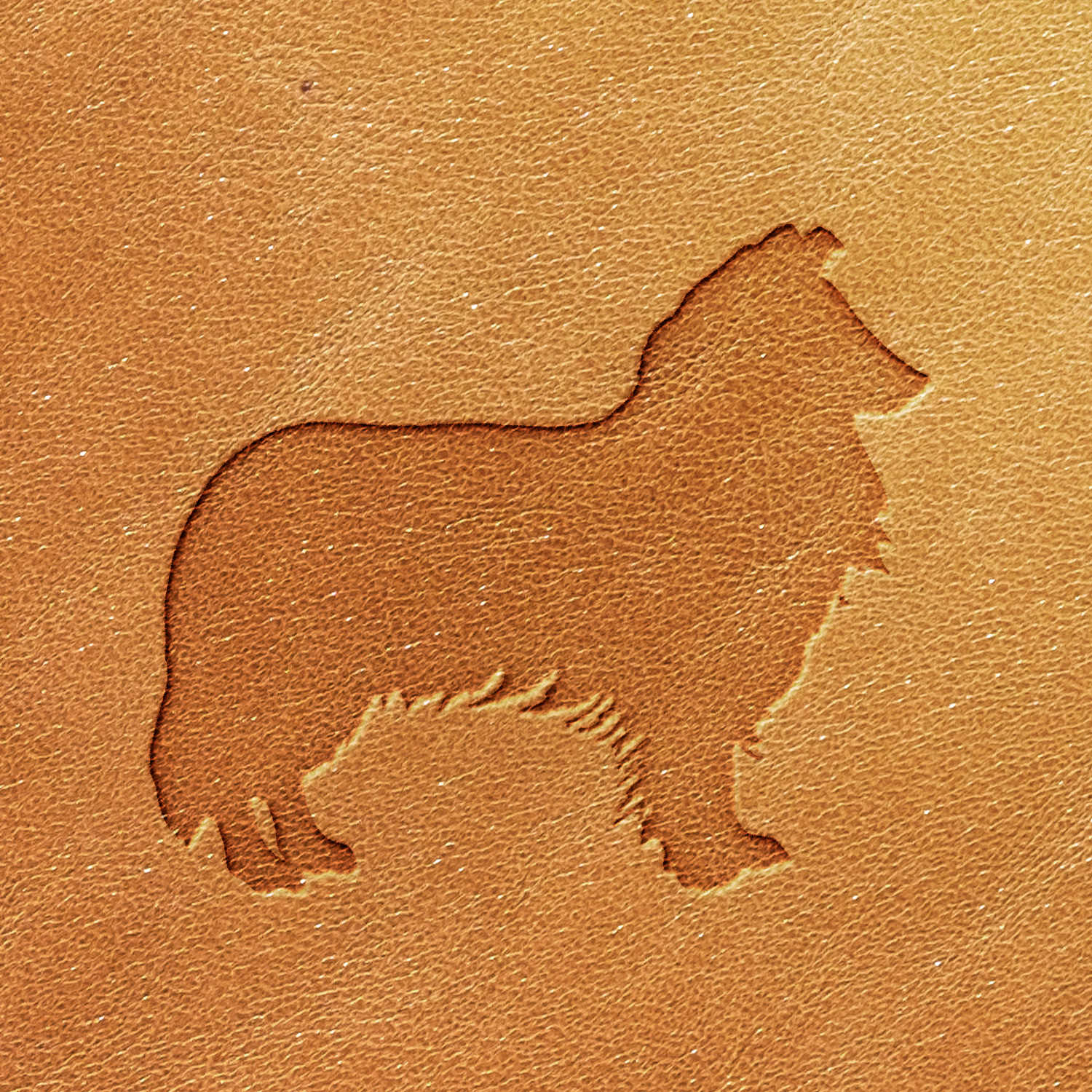 Border Collie Dog Delrin Leather Stamp - All Good Leather Co.