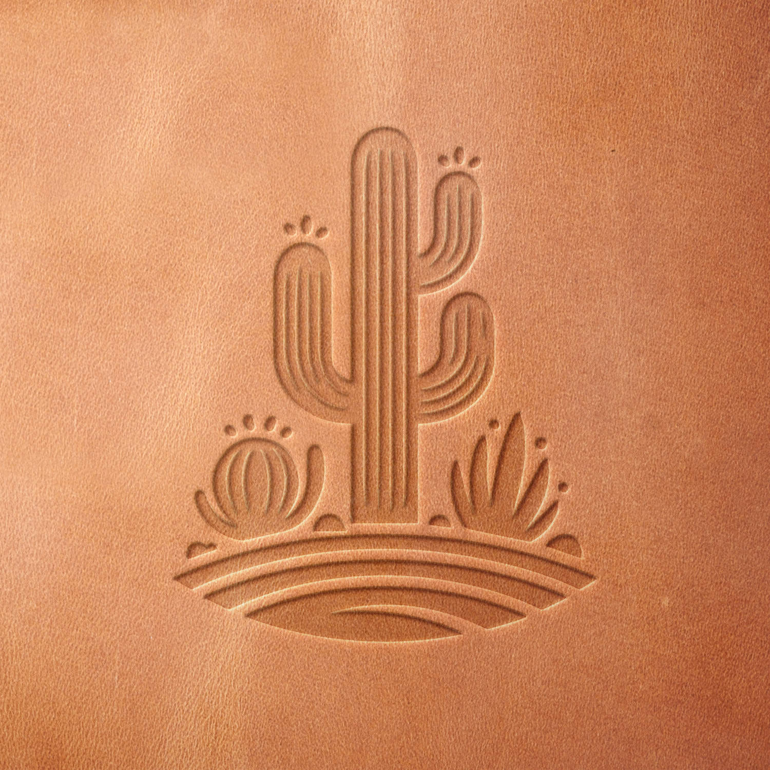 Cactus Scene Delrin Leather Stamp - All Good Leather Co.