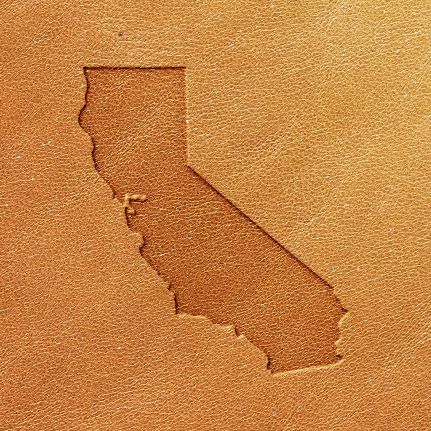 California Delrin Leather Stamp - All Good Leather Co.