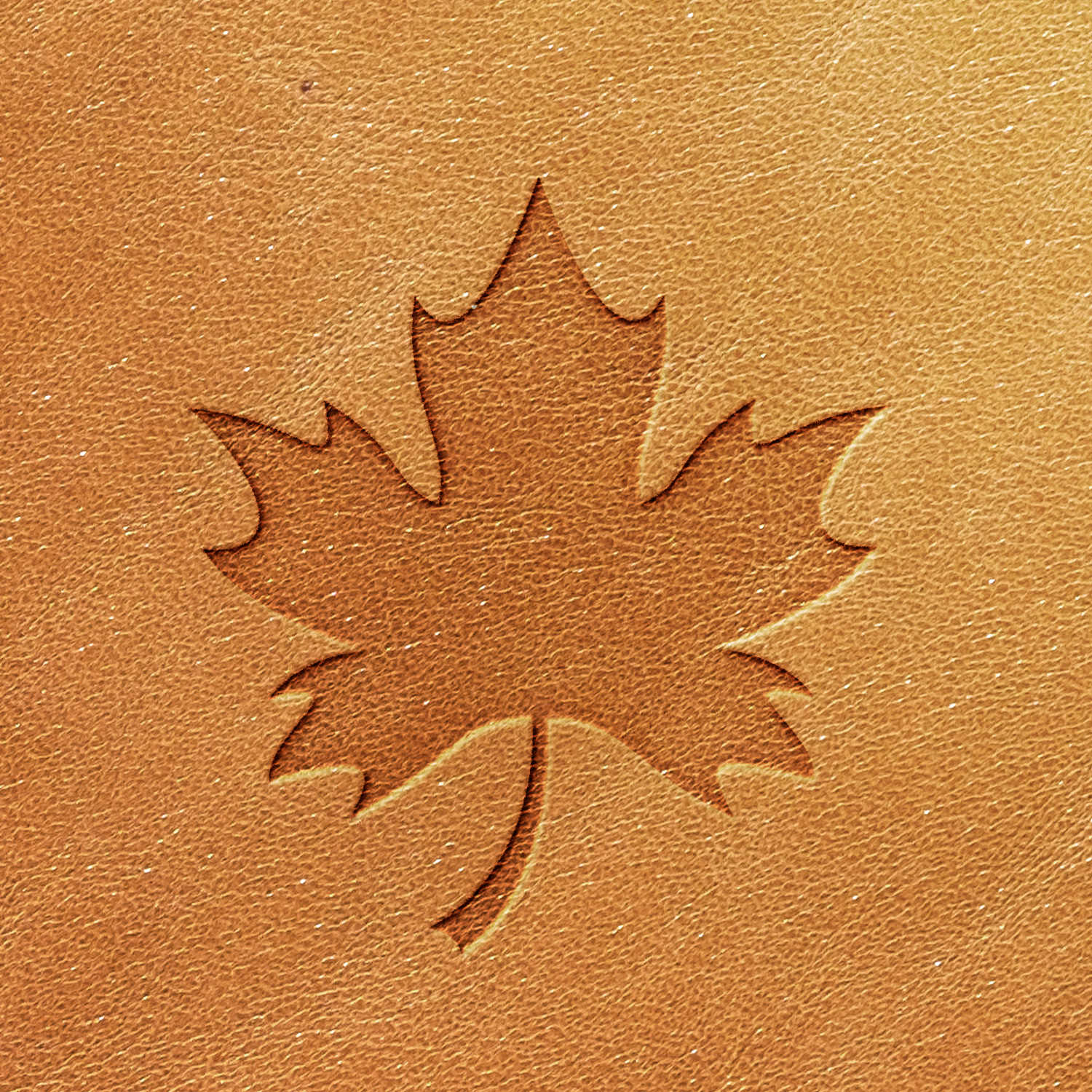 Canadian Maple Leaf Delrin Leather Stamp - All Good Leather Co.