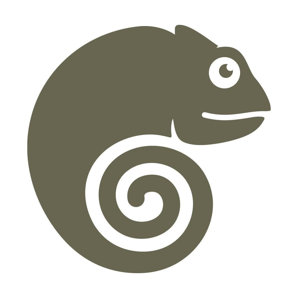 Chameleon Delrin Leather Stamp - All Good Leather Co.