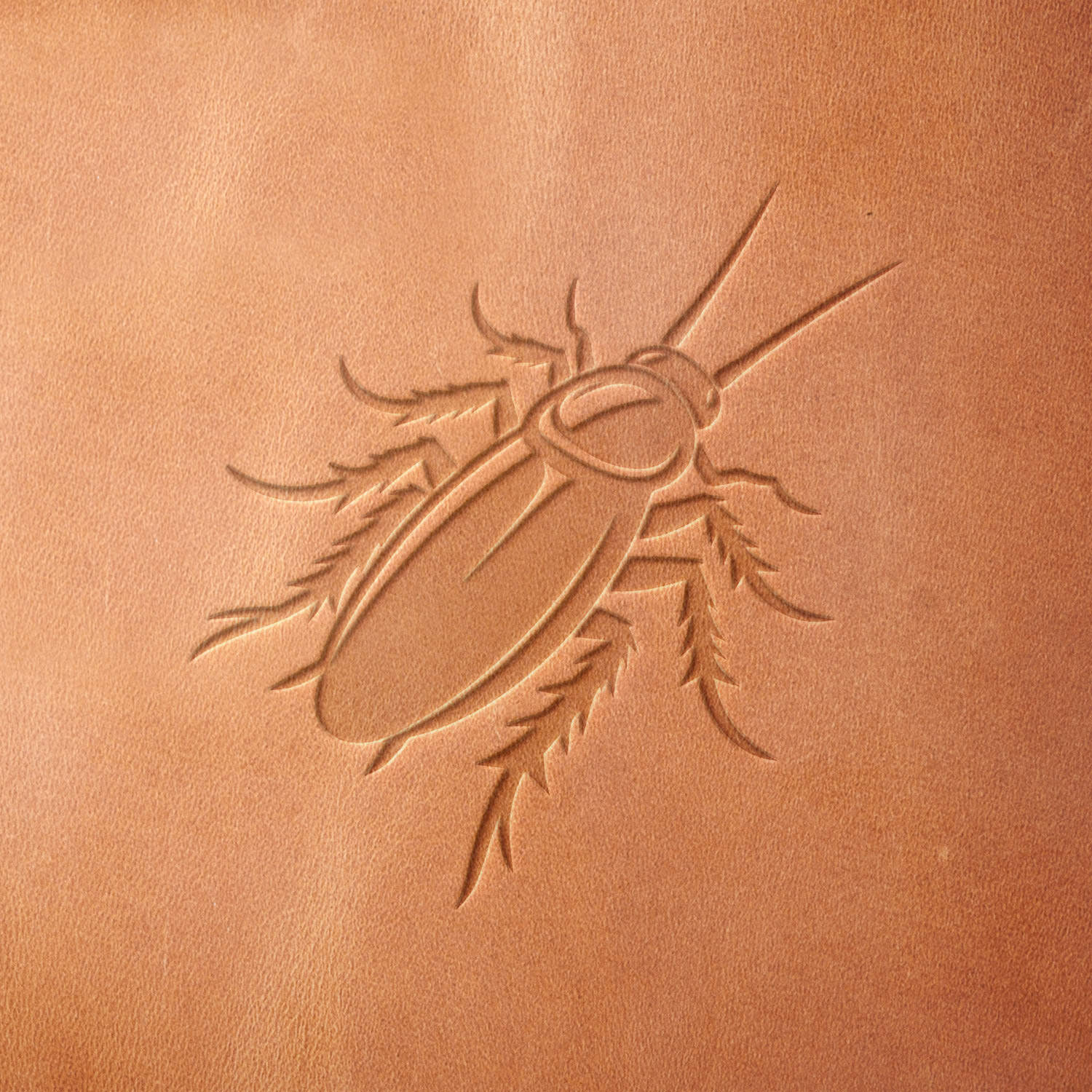 Cockroach Delrin Leather Stamp - All Good Leather Co.