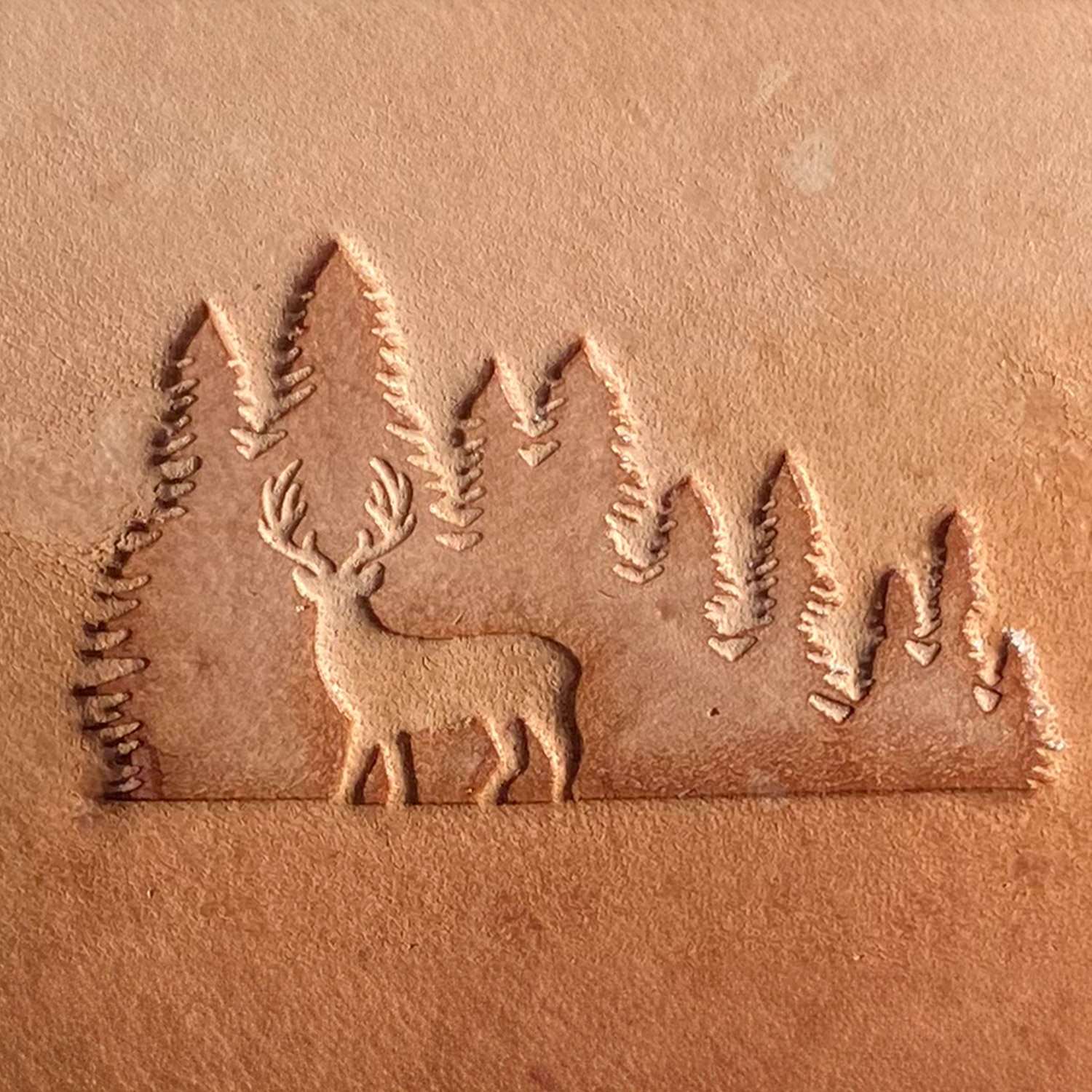 Deer in Forest Delrin Leather Stamp - All Good Leather Co.